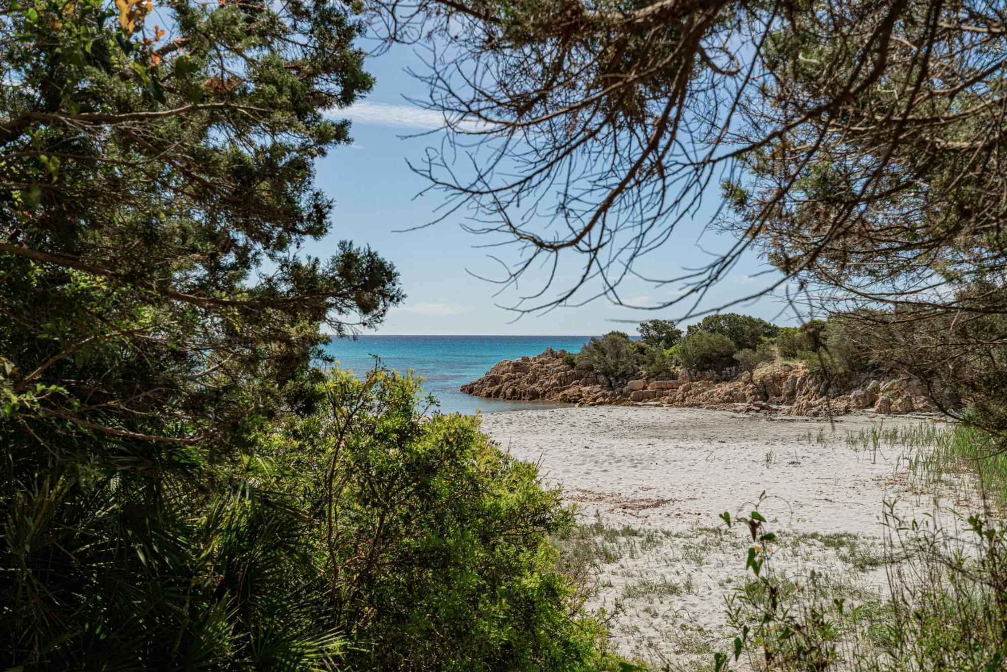 Casa Donatella, In Riva Al Mare! Villa Cala Liberotto Exteriör bild